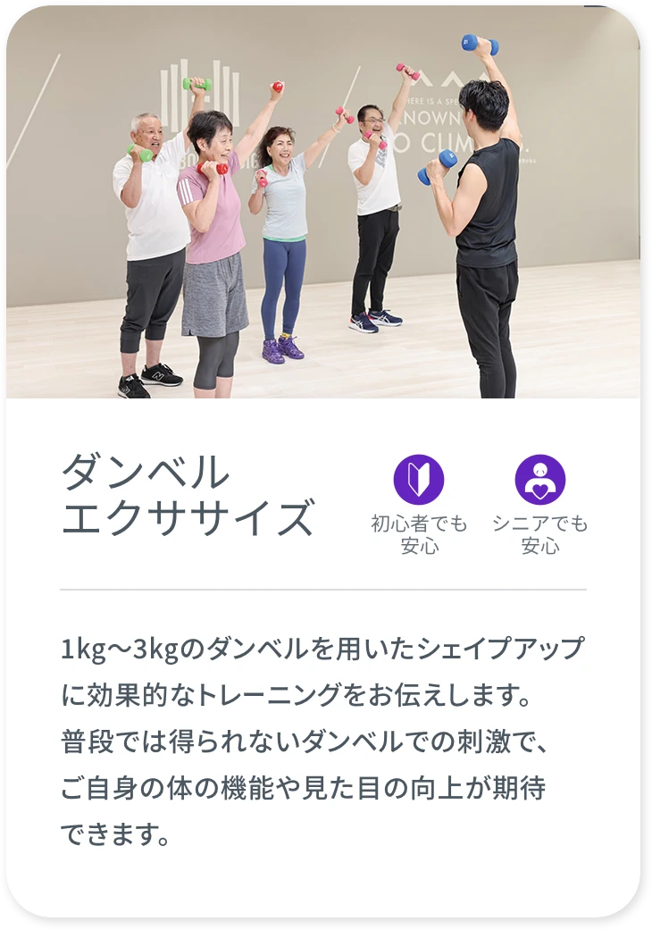 ダンベルエクササイズの説明